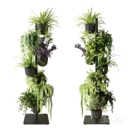 Rack with indoor plants in pots